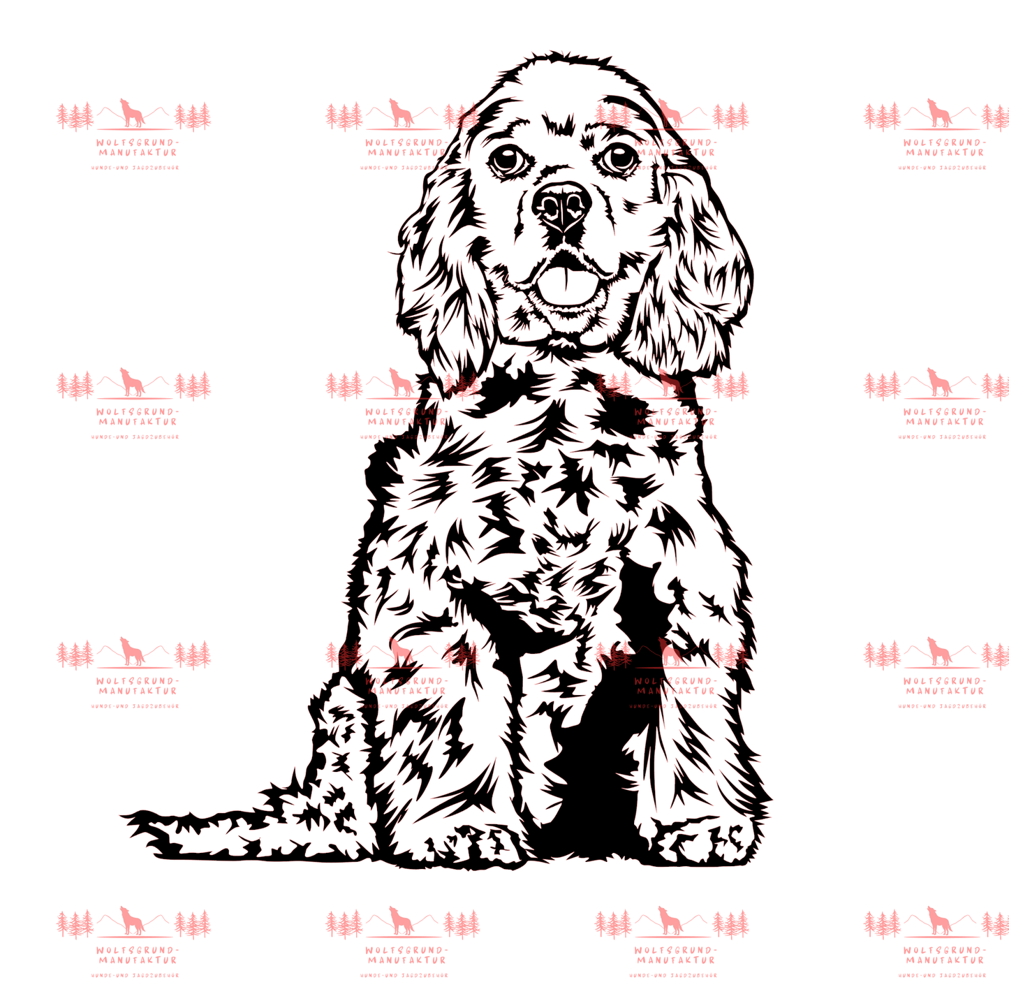 American Cocker Spaniel 1