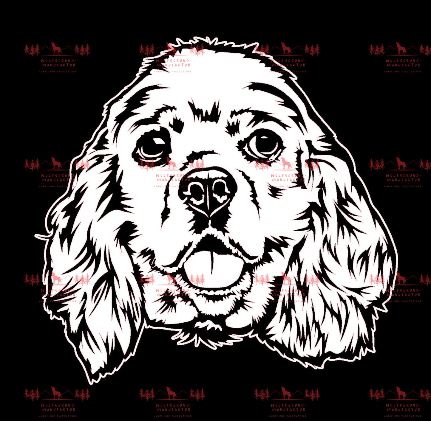 American Cocker Spaniel 2