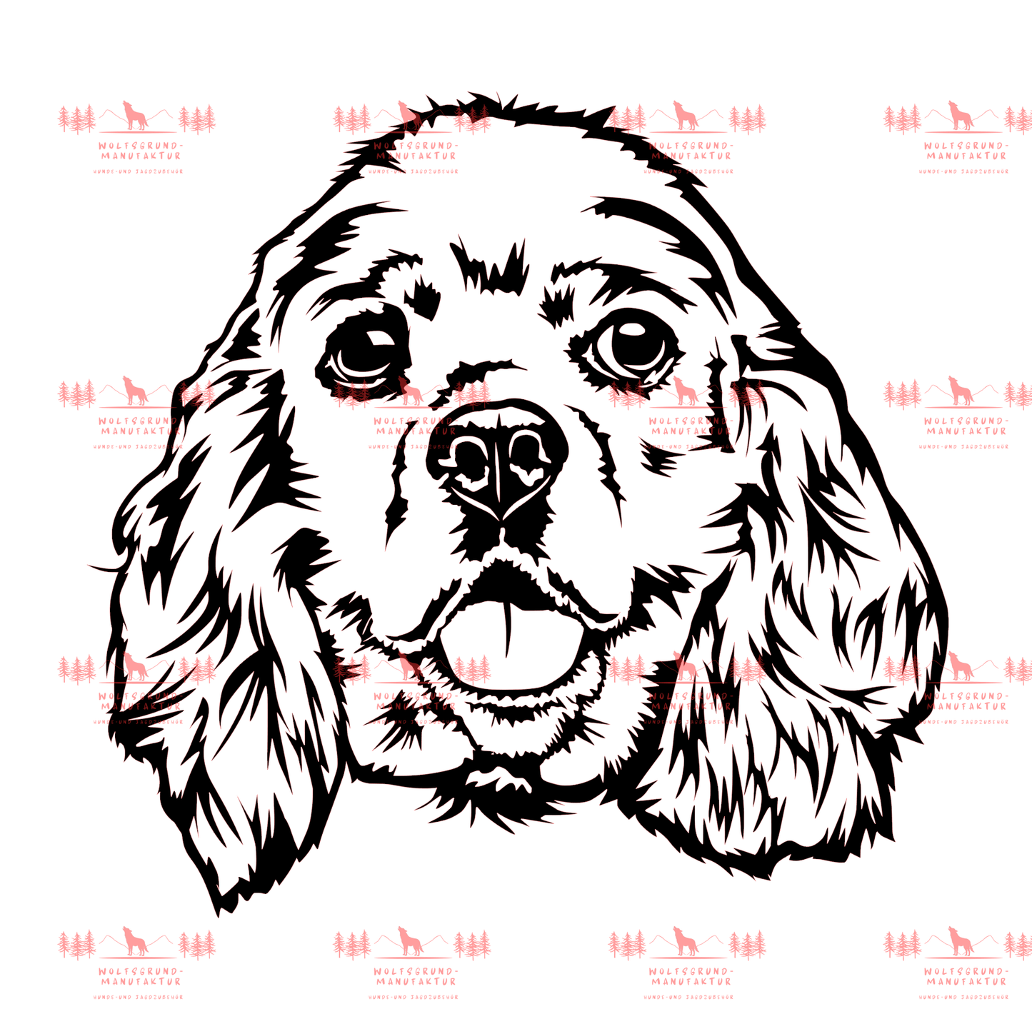 American Cocker Spaniel 2