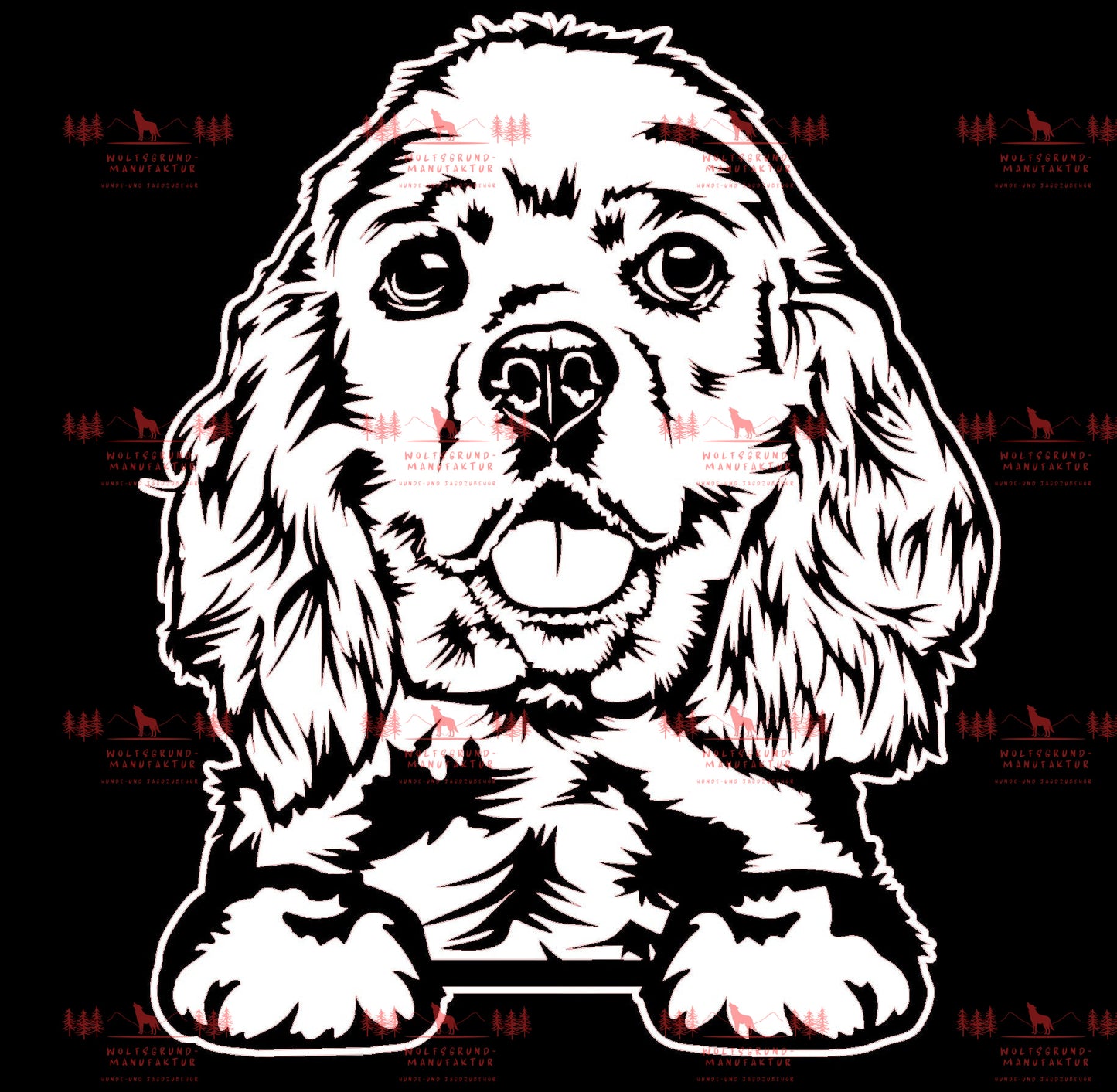 American Cocker Spaniel 3