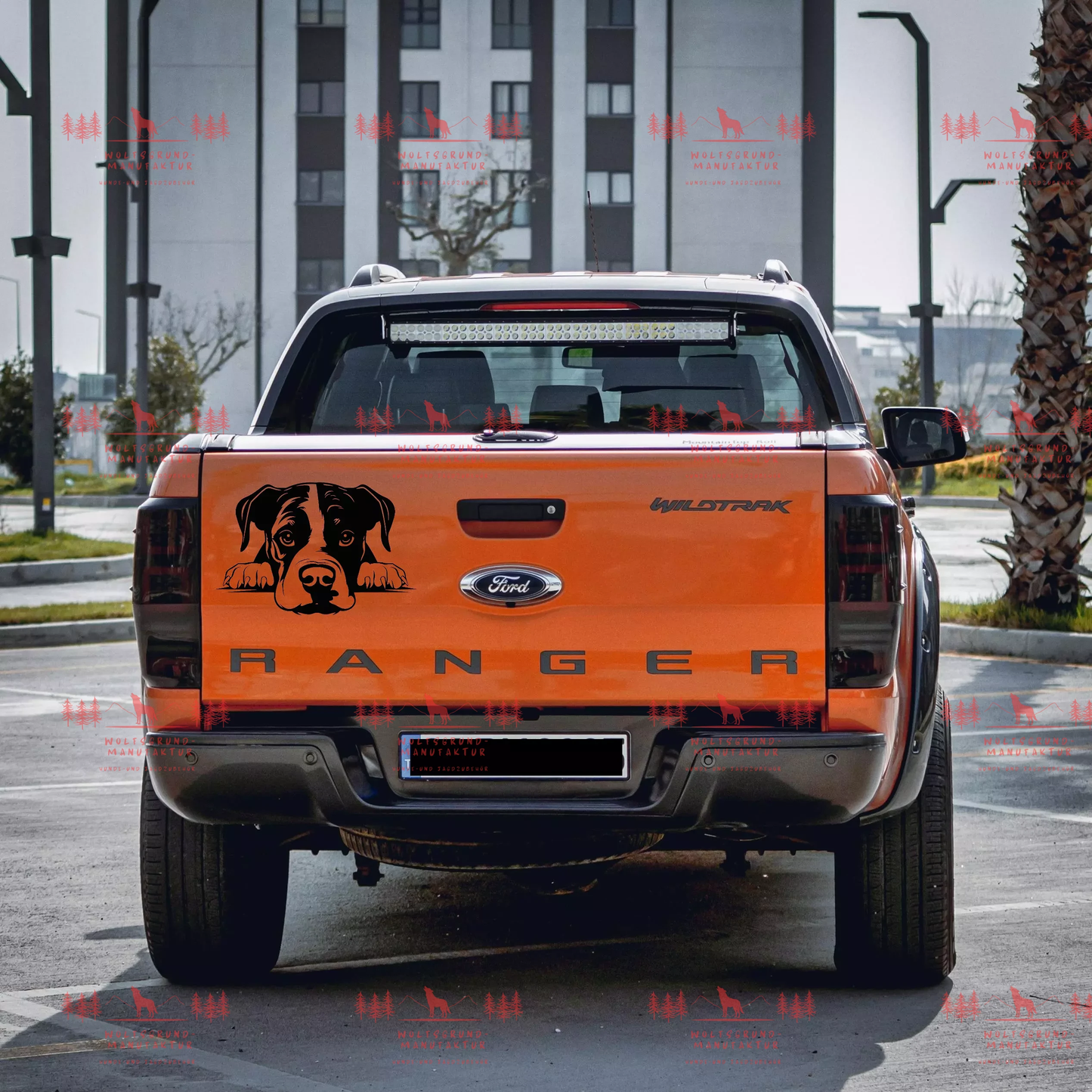 Amercian Staffordshire Terrier