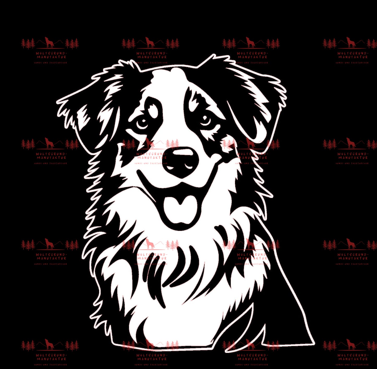 Australian Shepherd 1