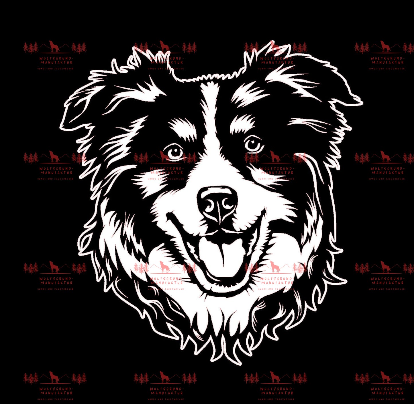 Australian Shepherd 10