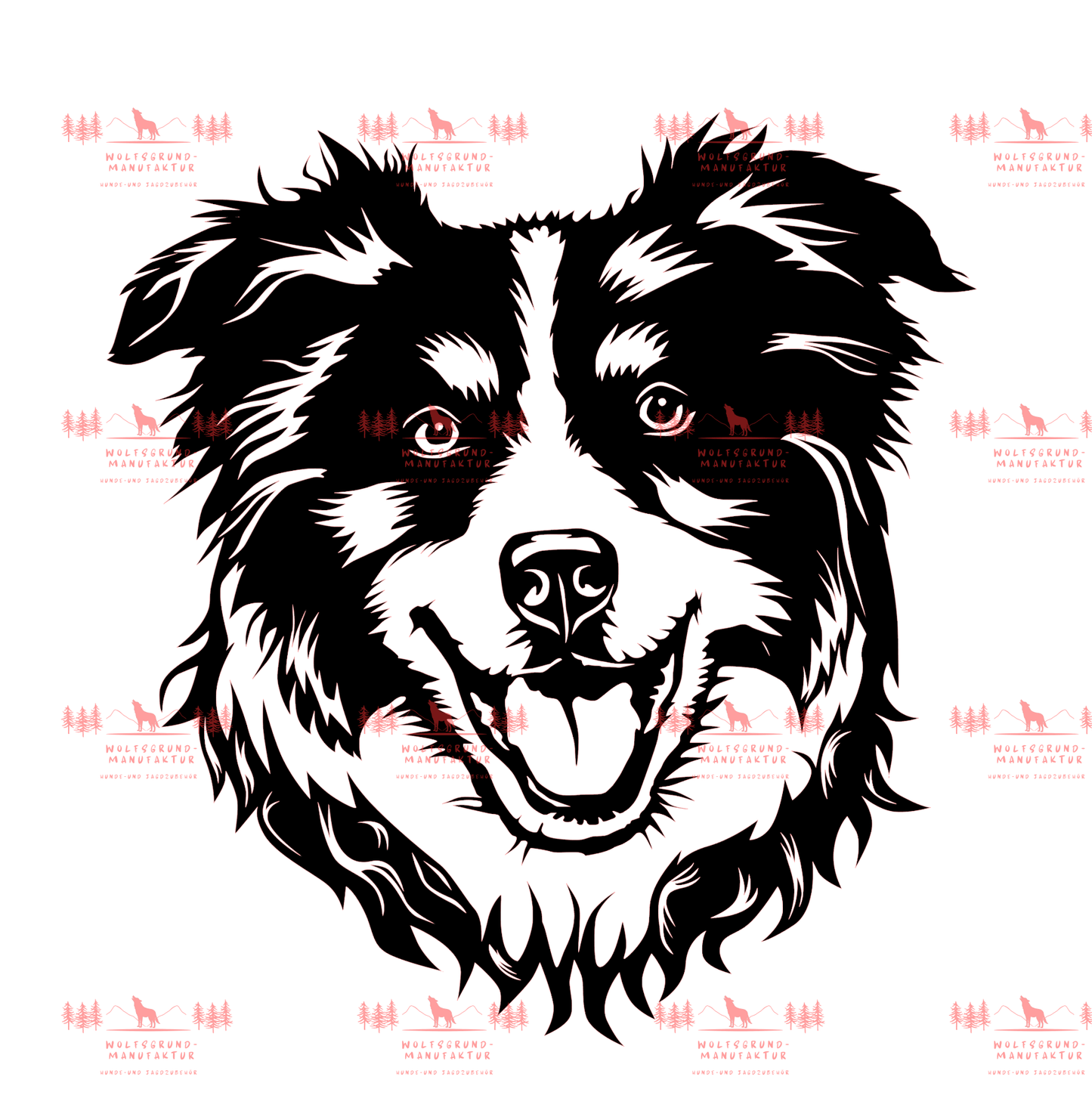 Australian Shepherd 10