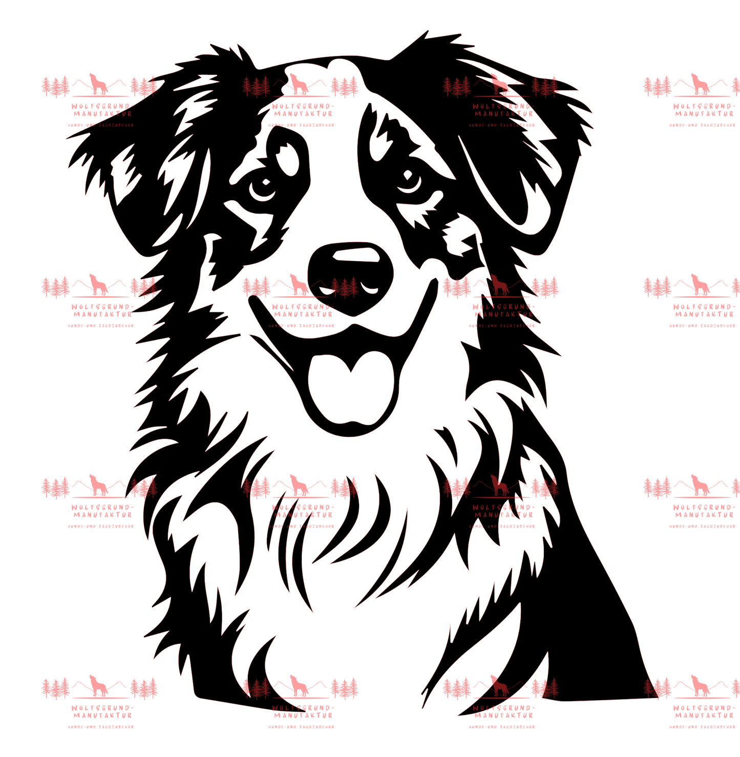 Australian Shepherd 1