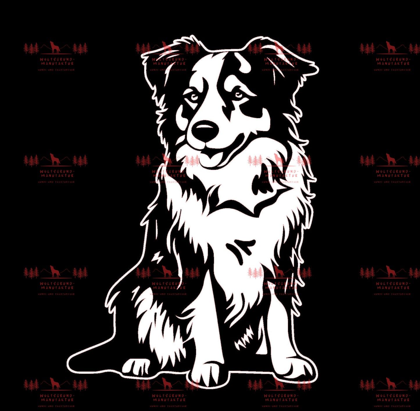 Australian Shepherd 2