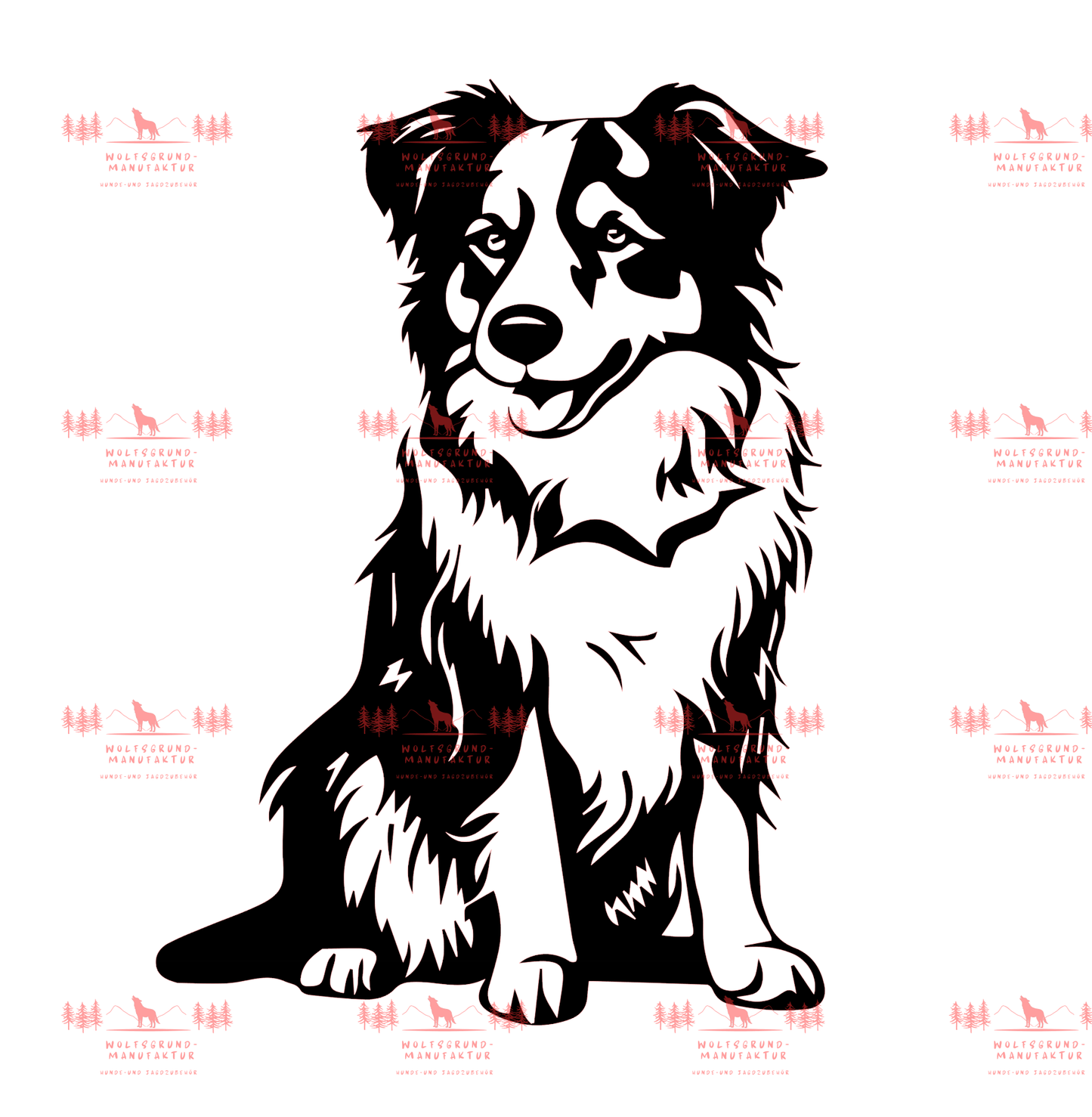 Australian Shepherd 2
