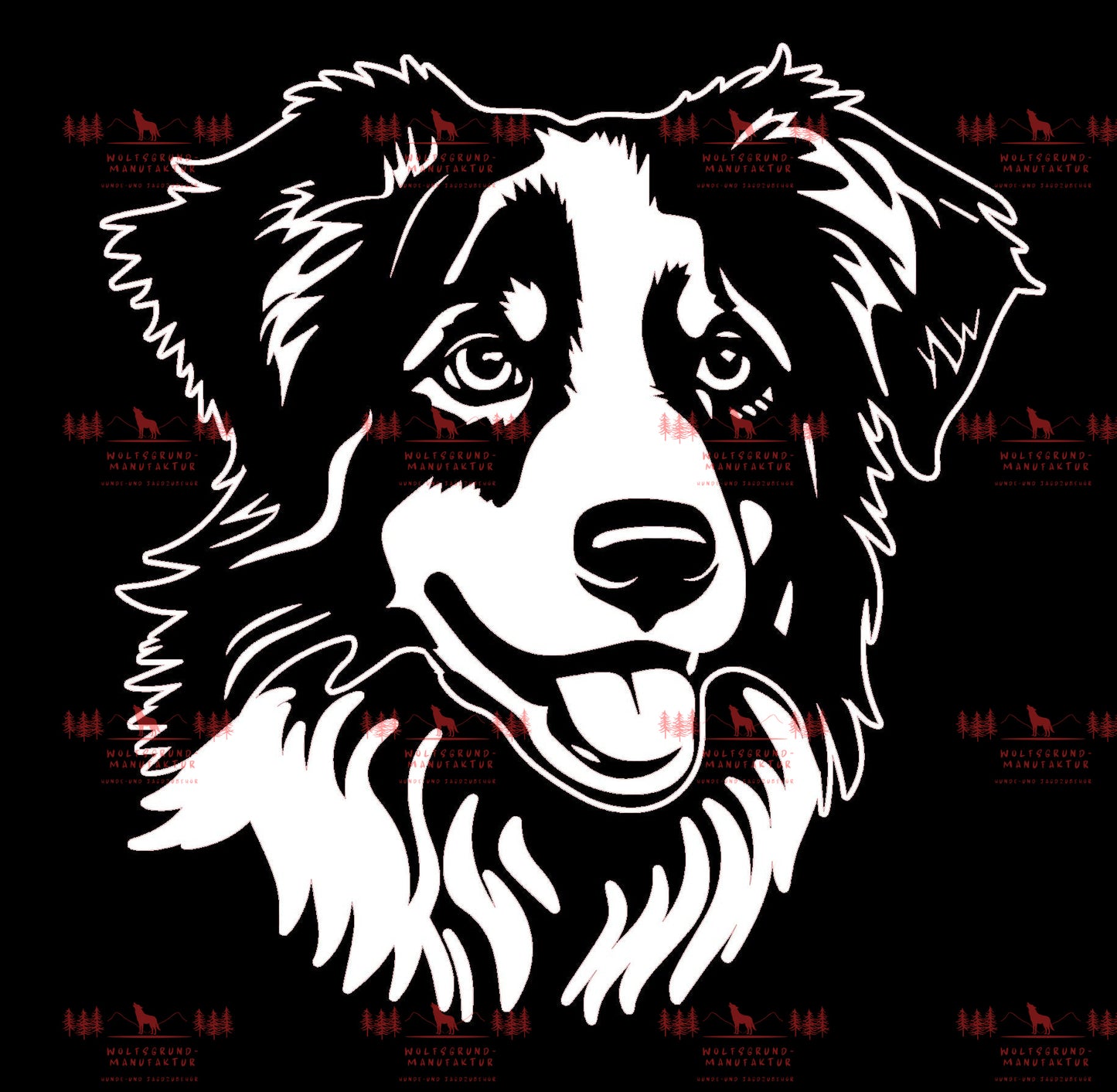 Australian Shepherd 3
