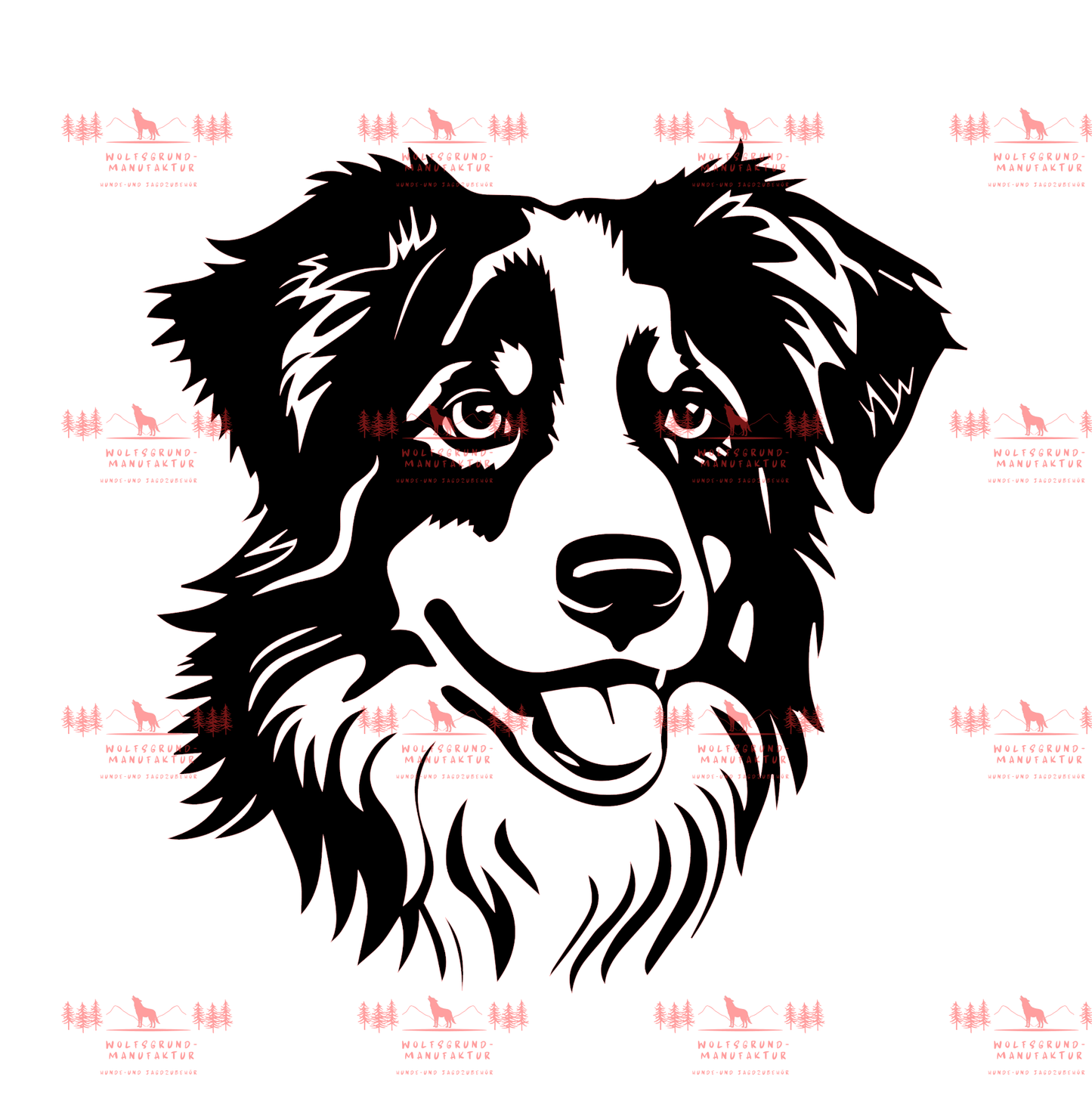 Australian Shepherd 3
