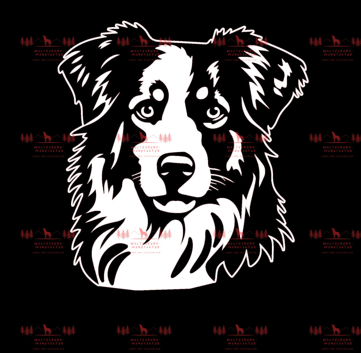 Australian Shepherd 4