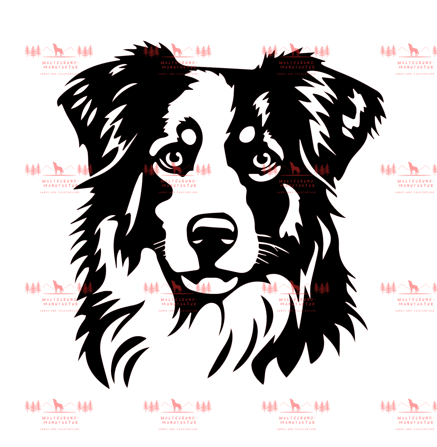 Australian Shepherd 4