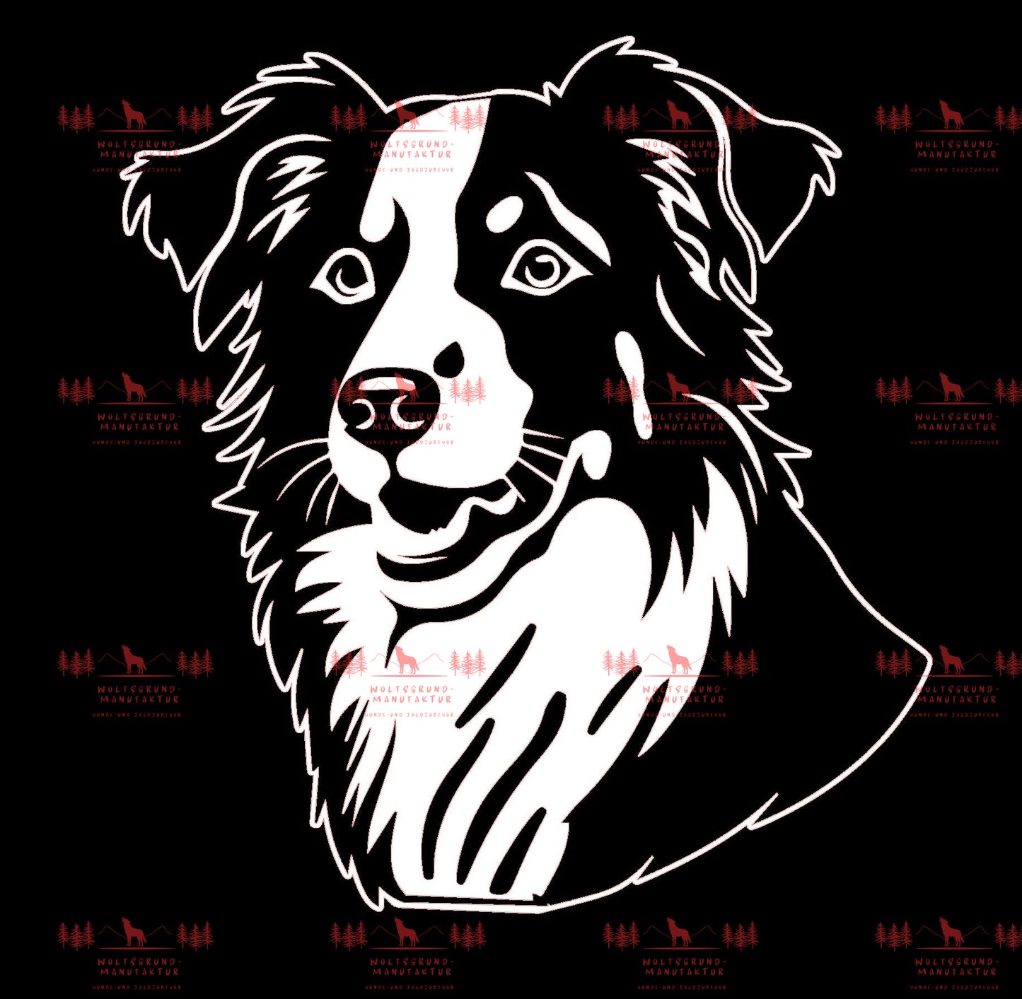 Australian Shepherd 5