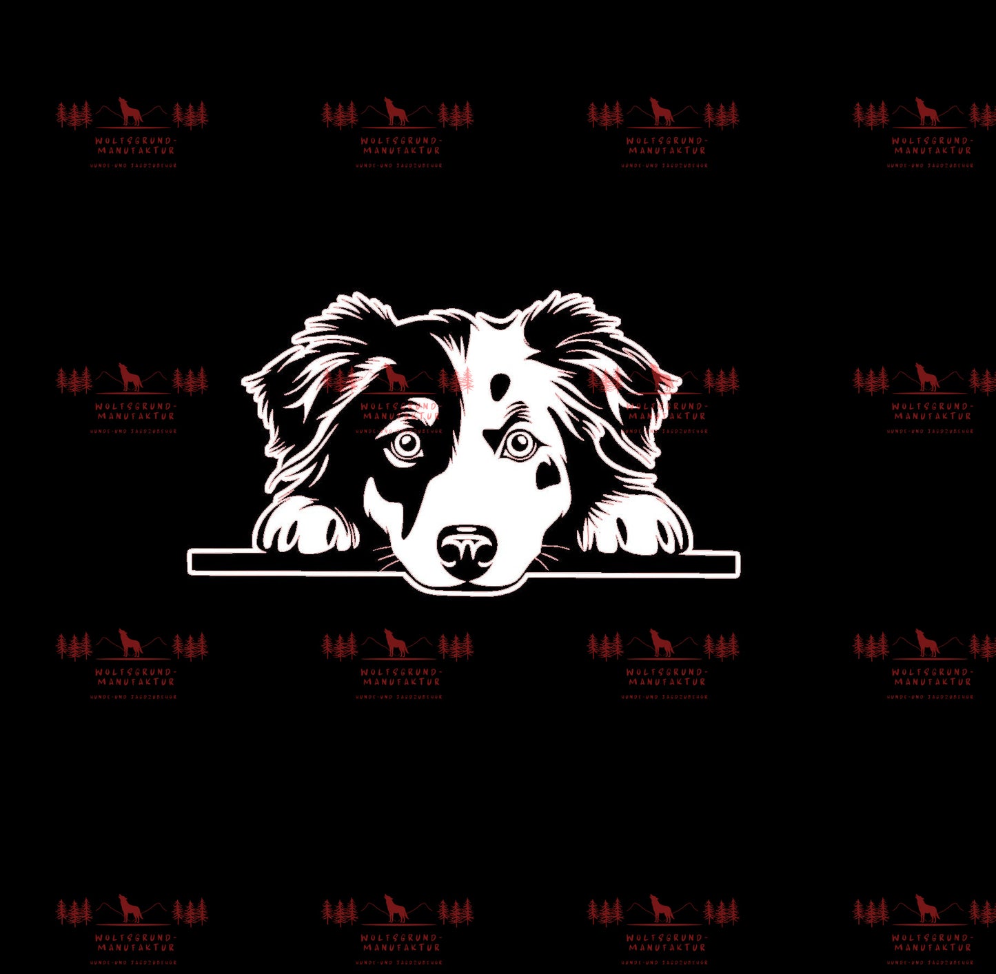 Australian Shepherd 8