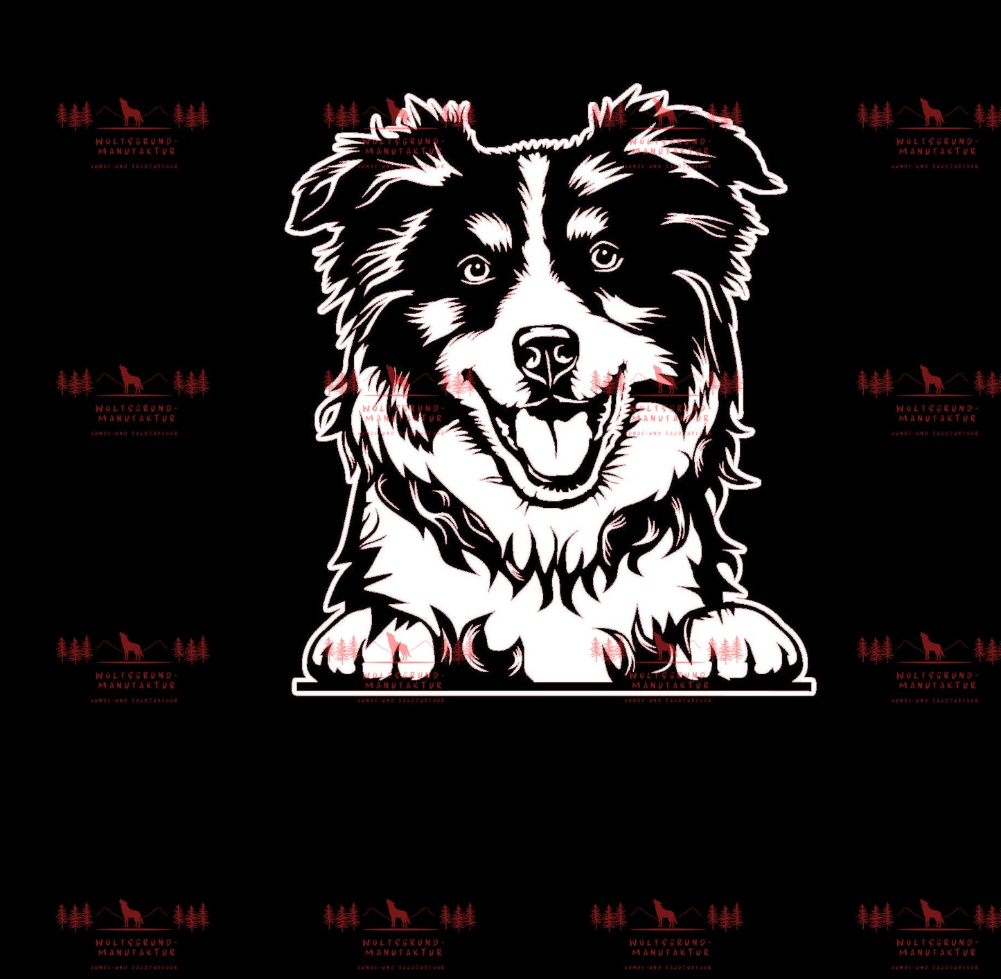 Australian Shepherd 9