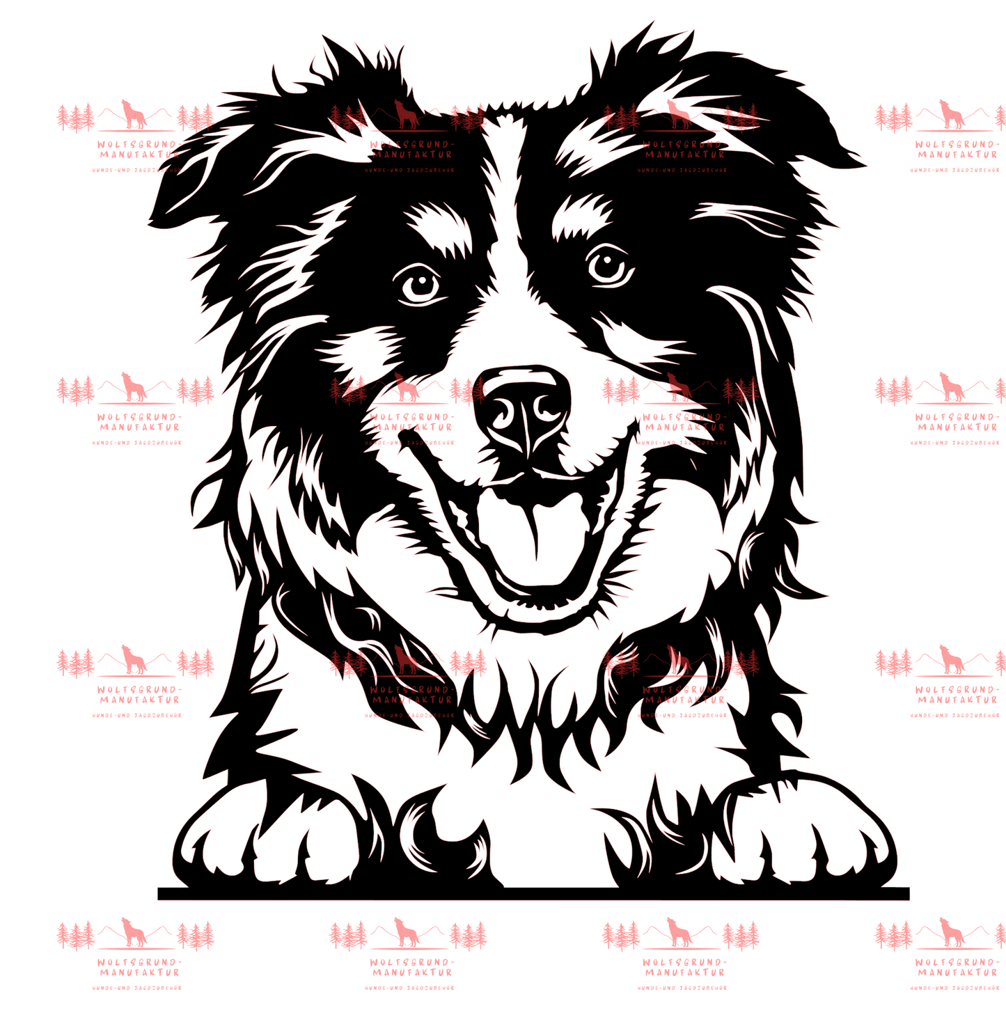 Australian Shepherd 9