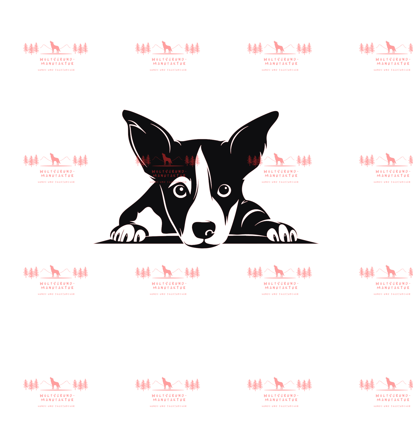 Basenji