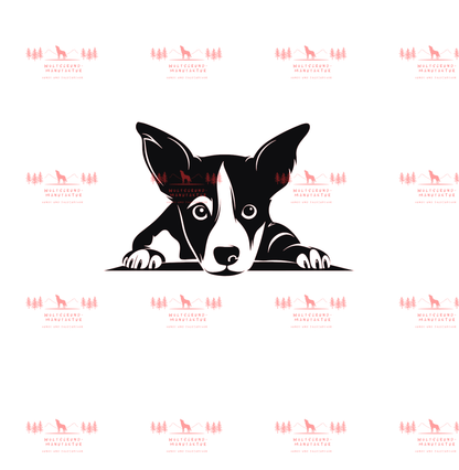 Basenji