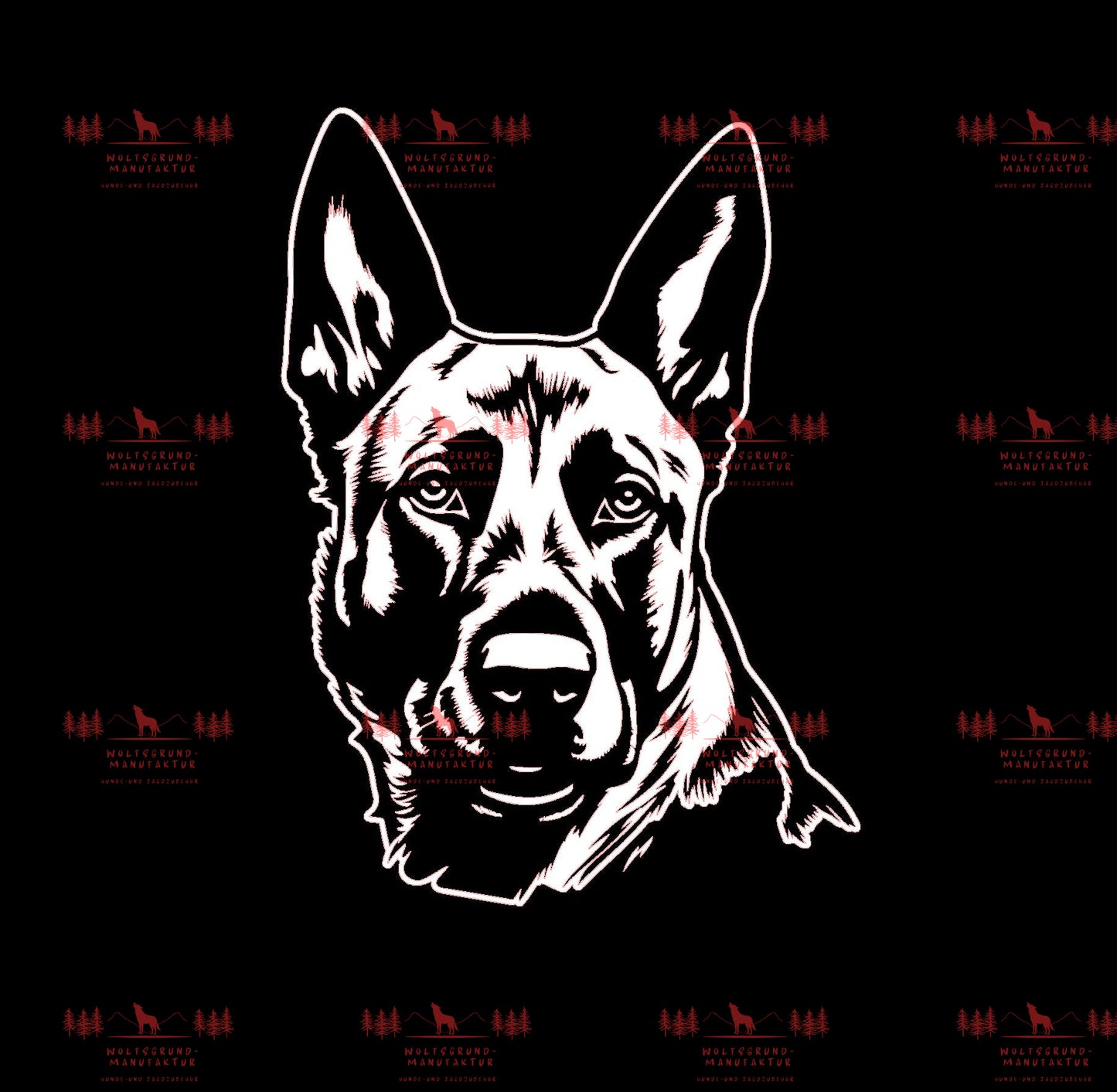 Belgischer Schäferhund 1