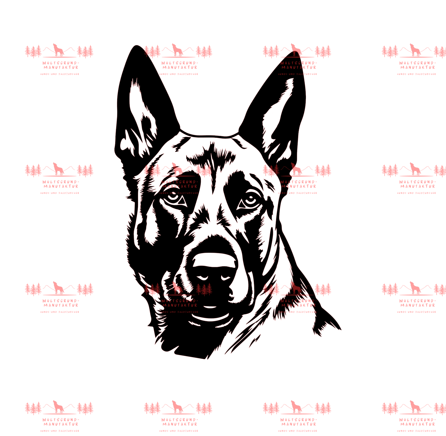 Belgischer Schäferhund 1
