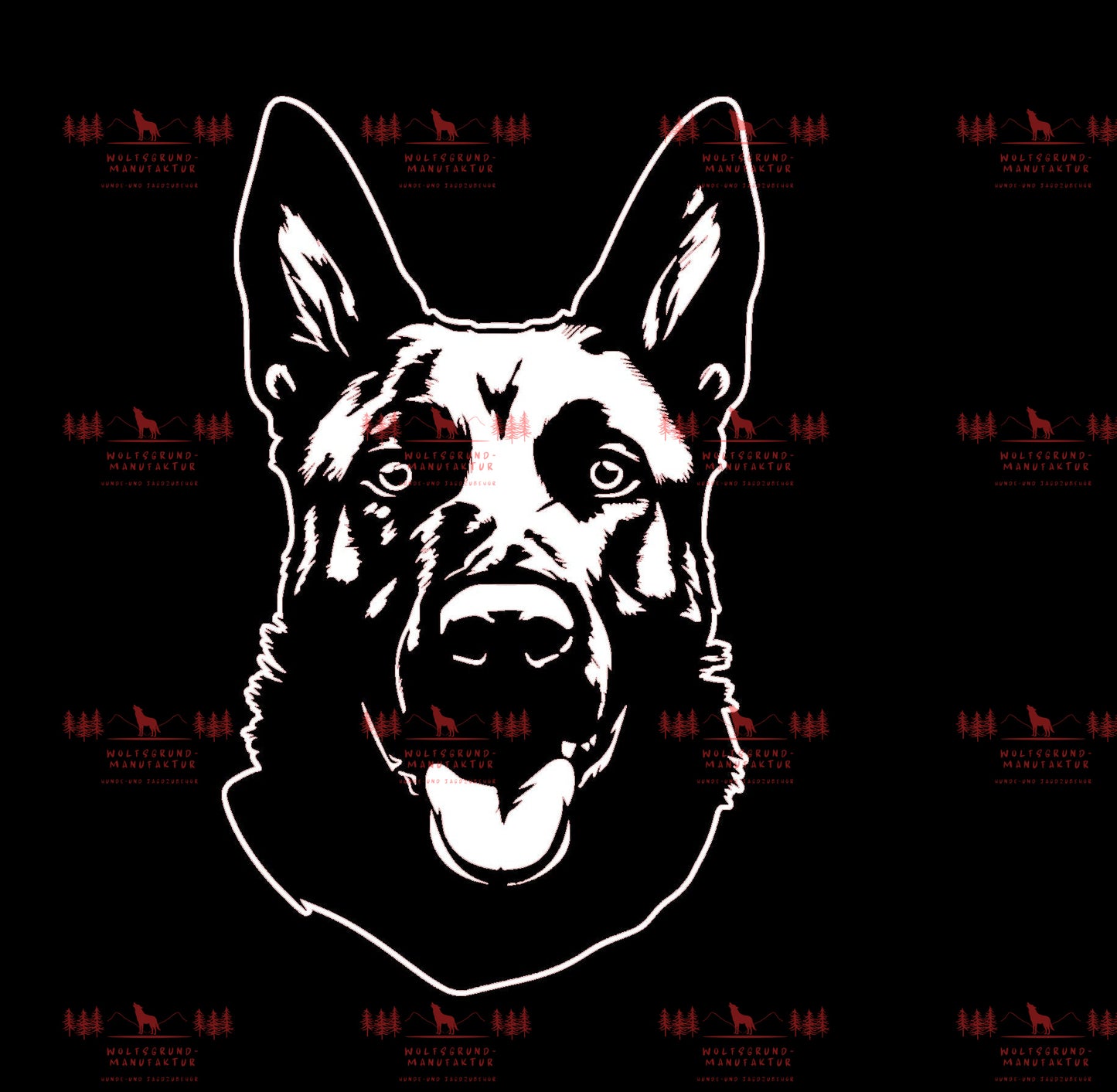 Belgischer Schäferhund 2