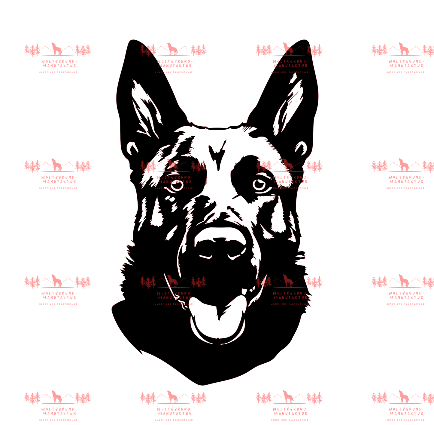 Belgischer Schäferhund 2