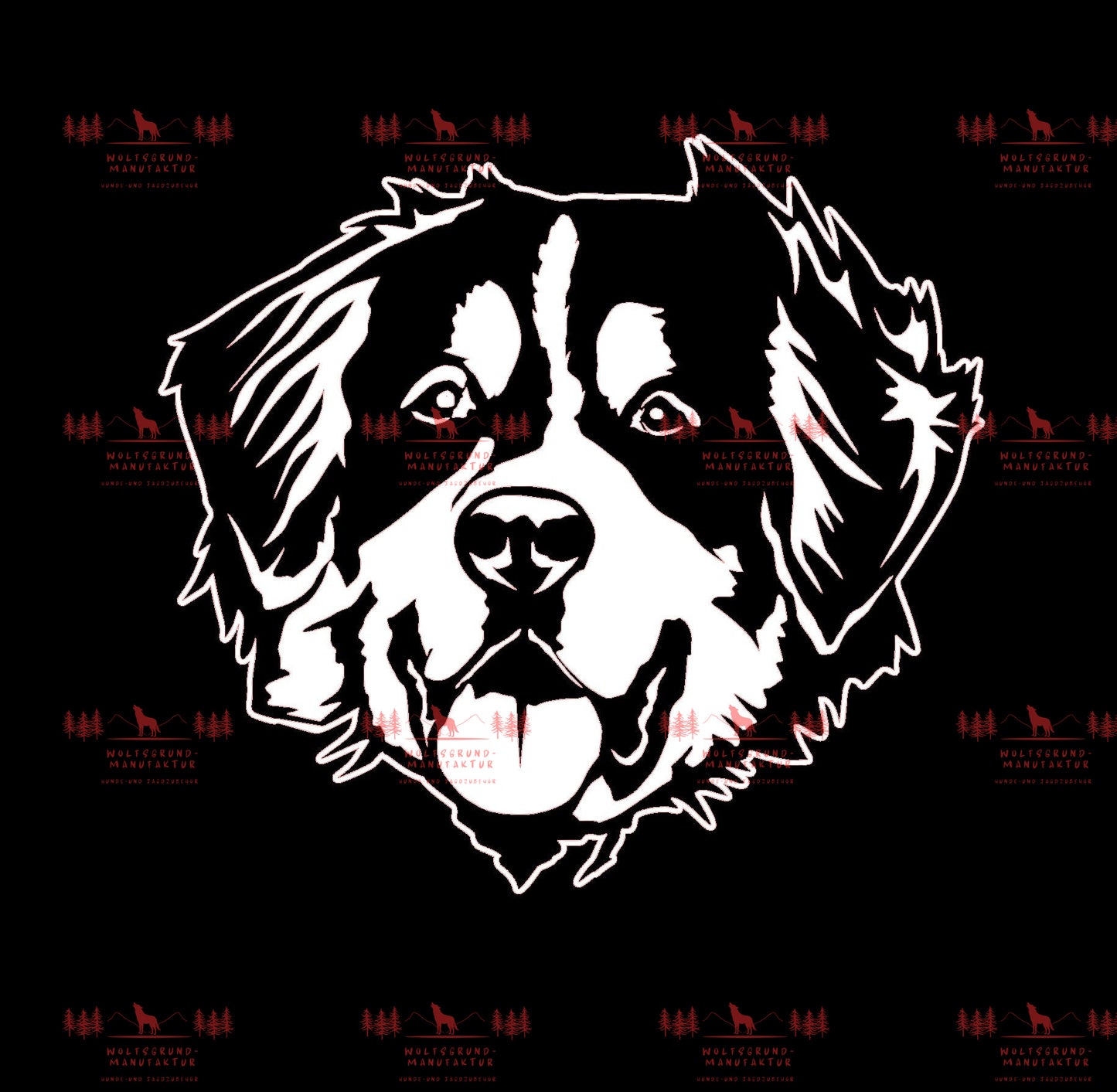 Berner Sennenhund 1