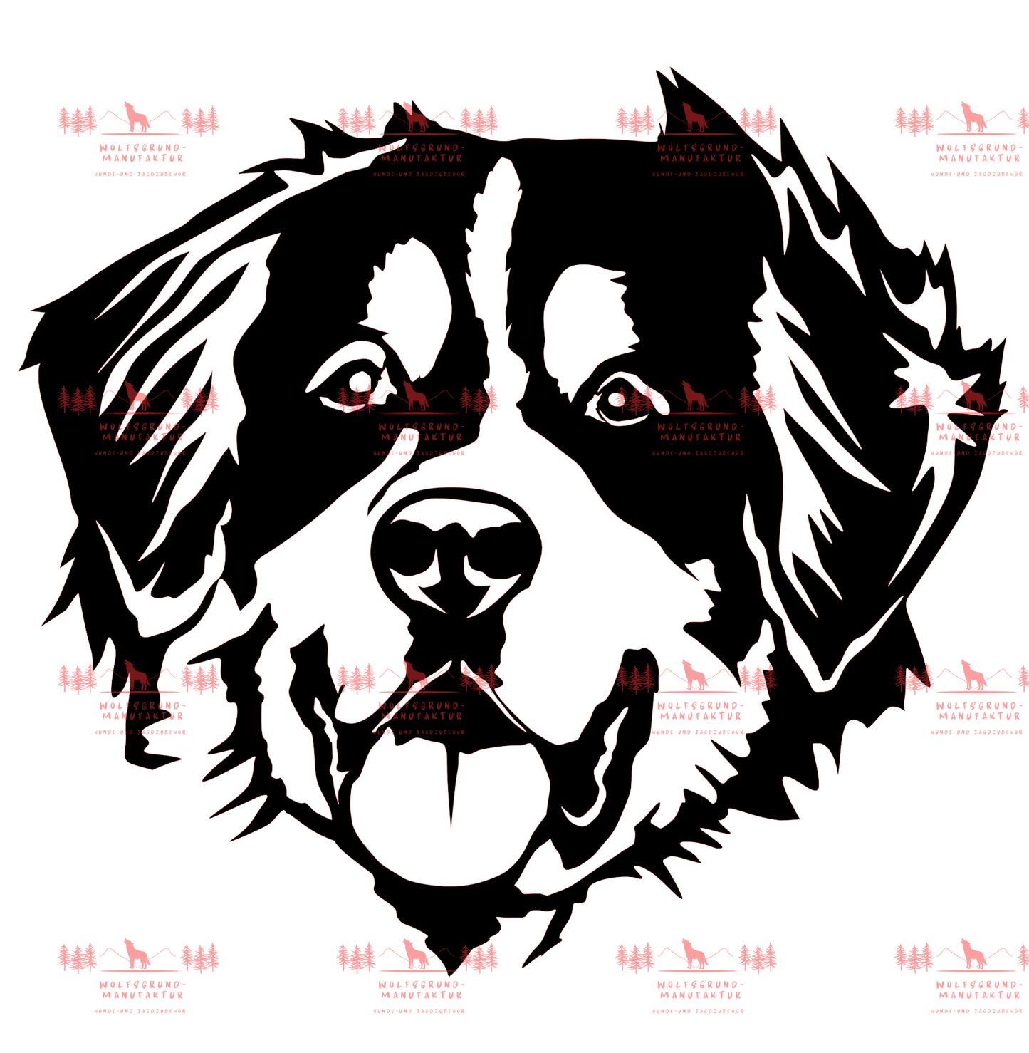 Berner Sennenhund 1
