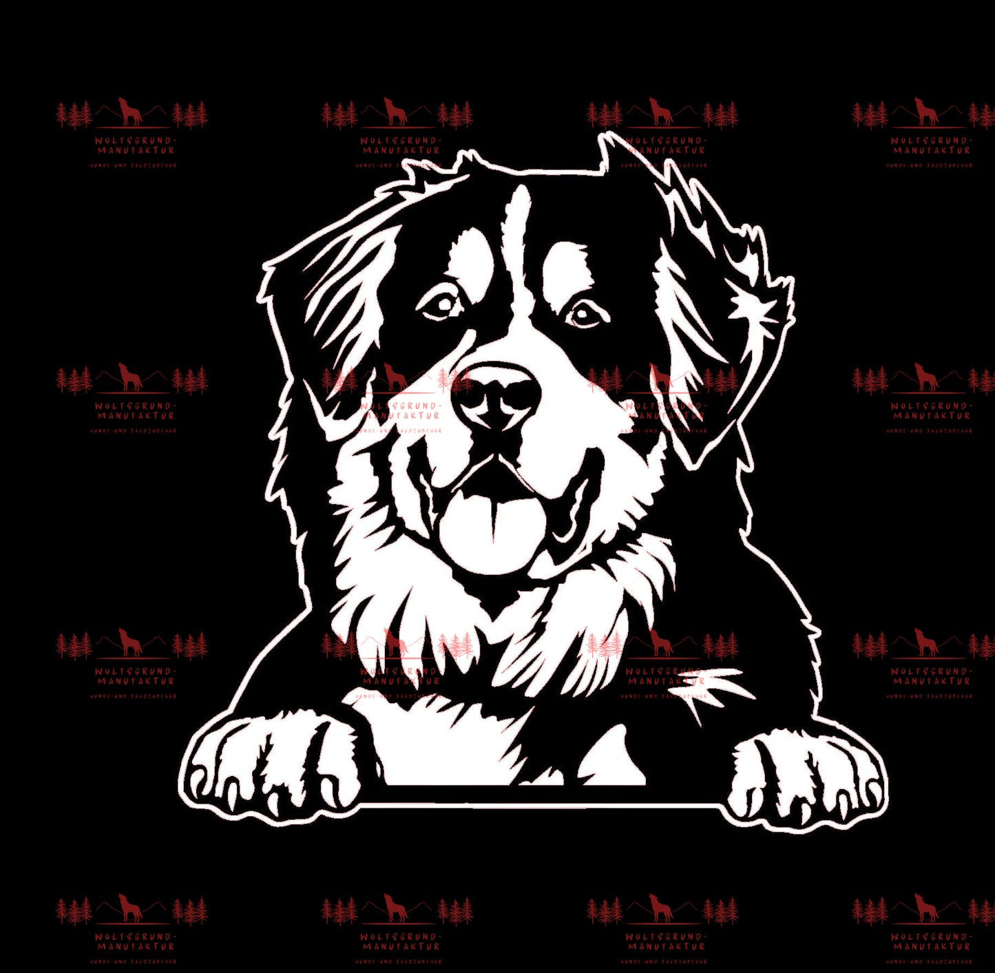 Berner Sennenhund 2