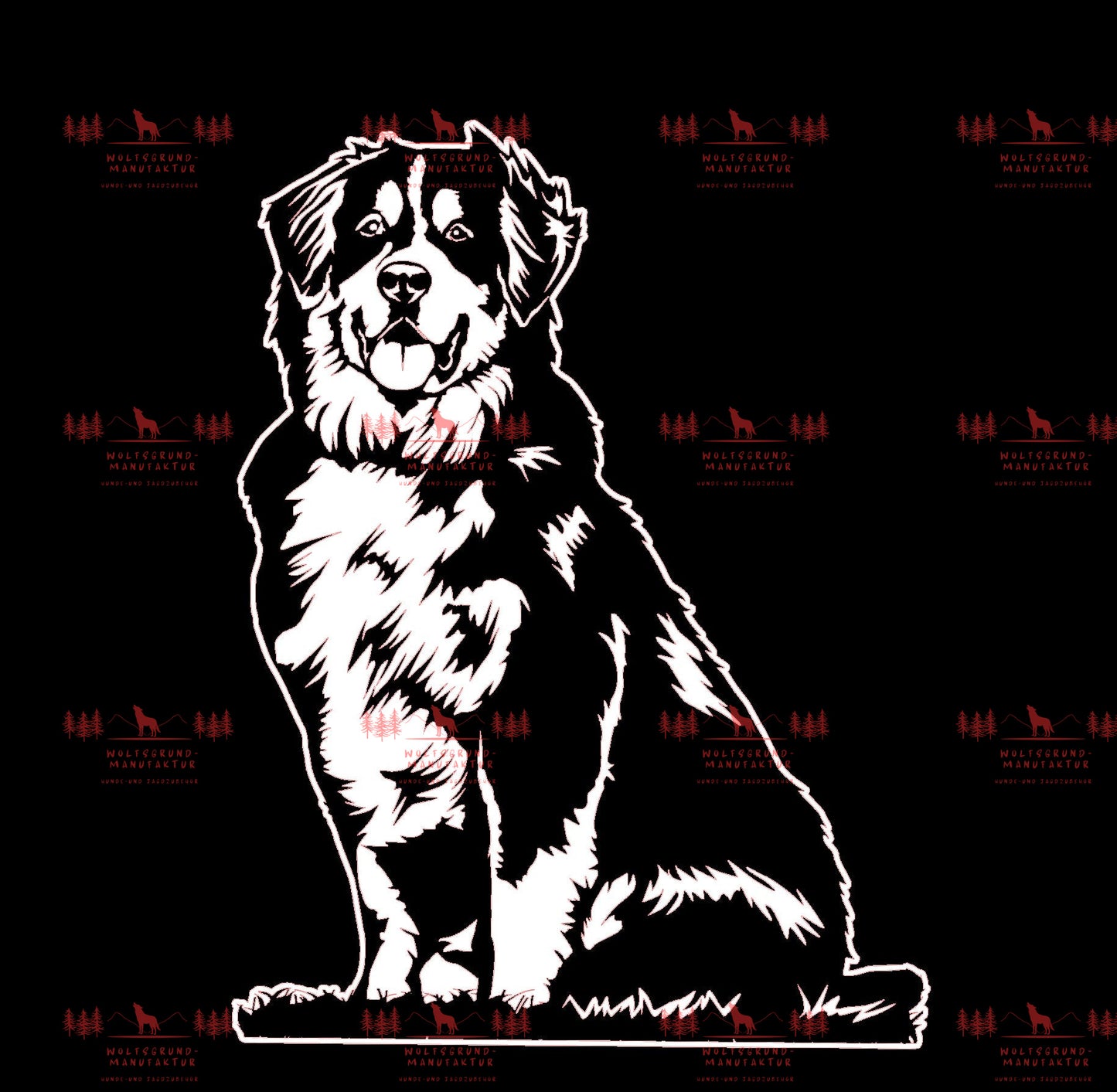 Berner Sennenhund 3