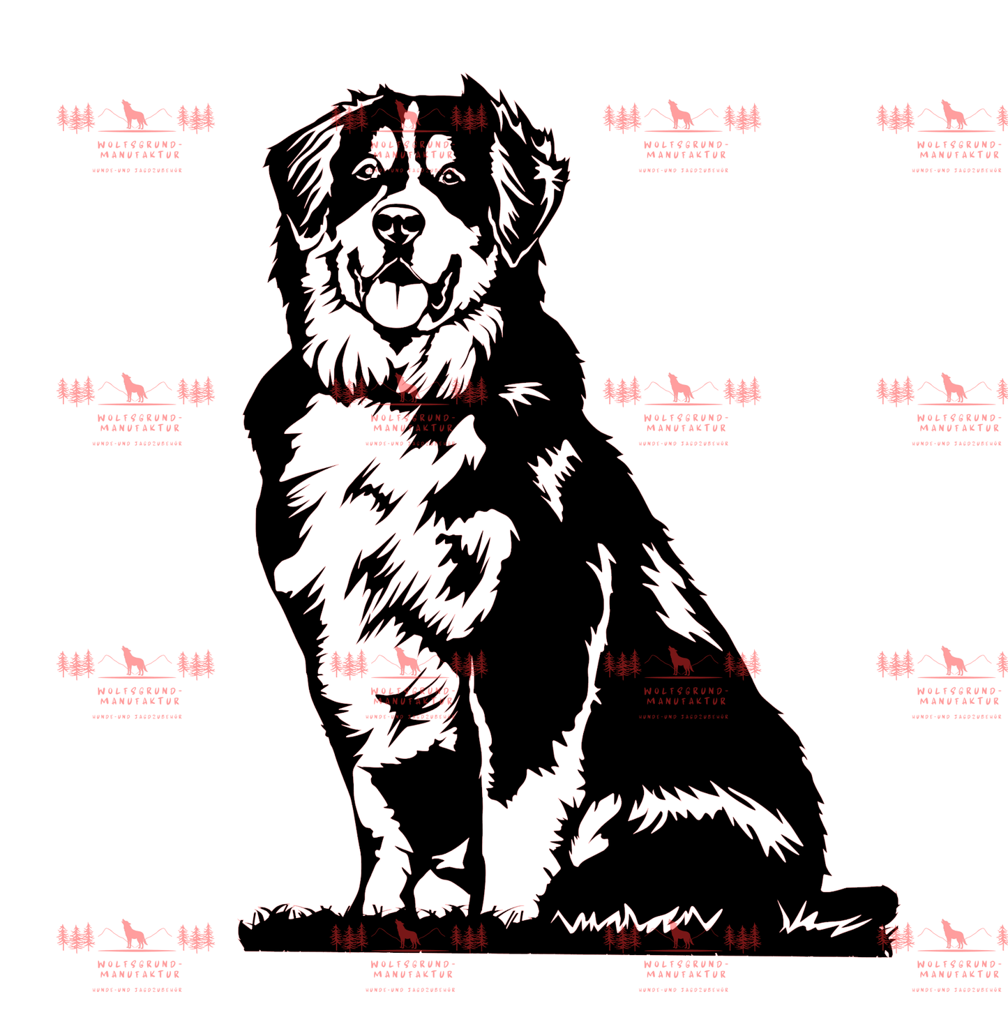 Berner Sennenhund 3