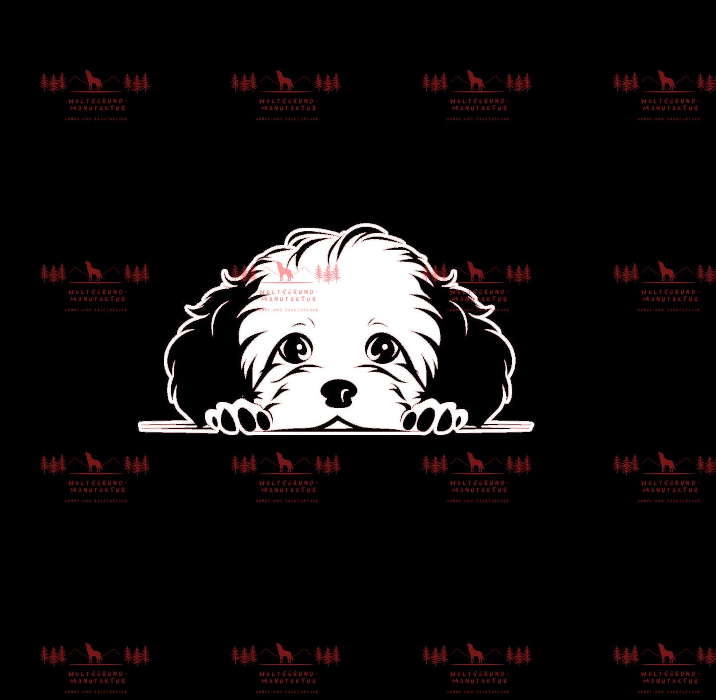 Bichon Frise