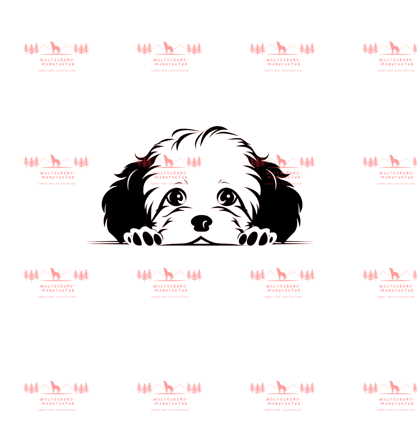 Bichon Frise