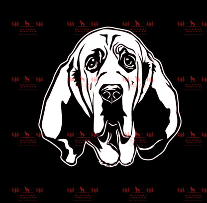 Bloodhound 1