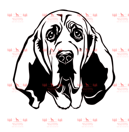 Bloodhound 1