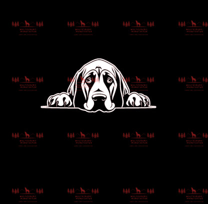 Bloodhound 2