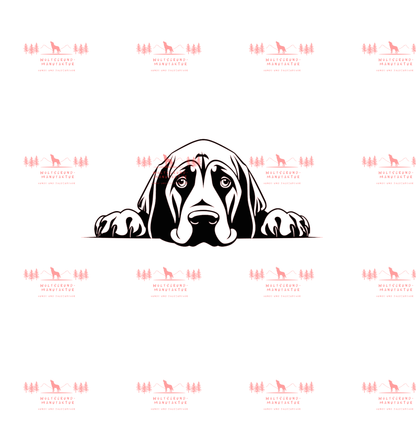 Bloodhound 2