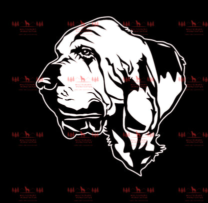 Bloodhound 3