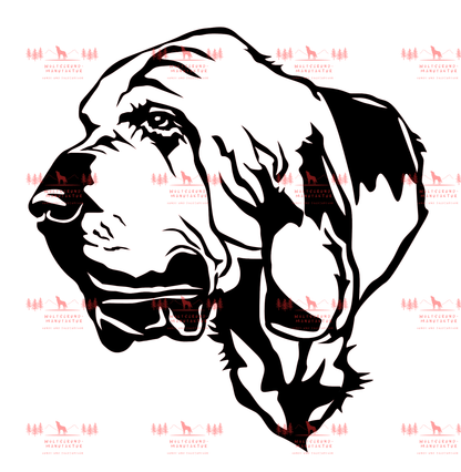 Bloodhound 3