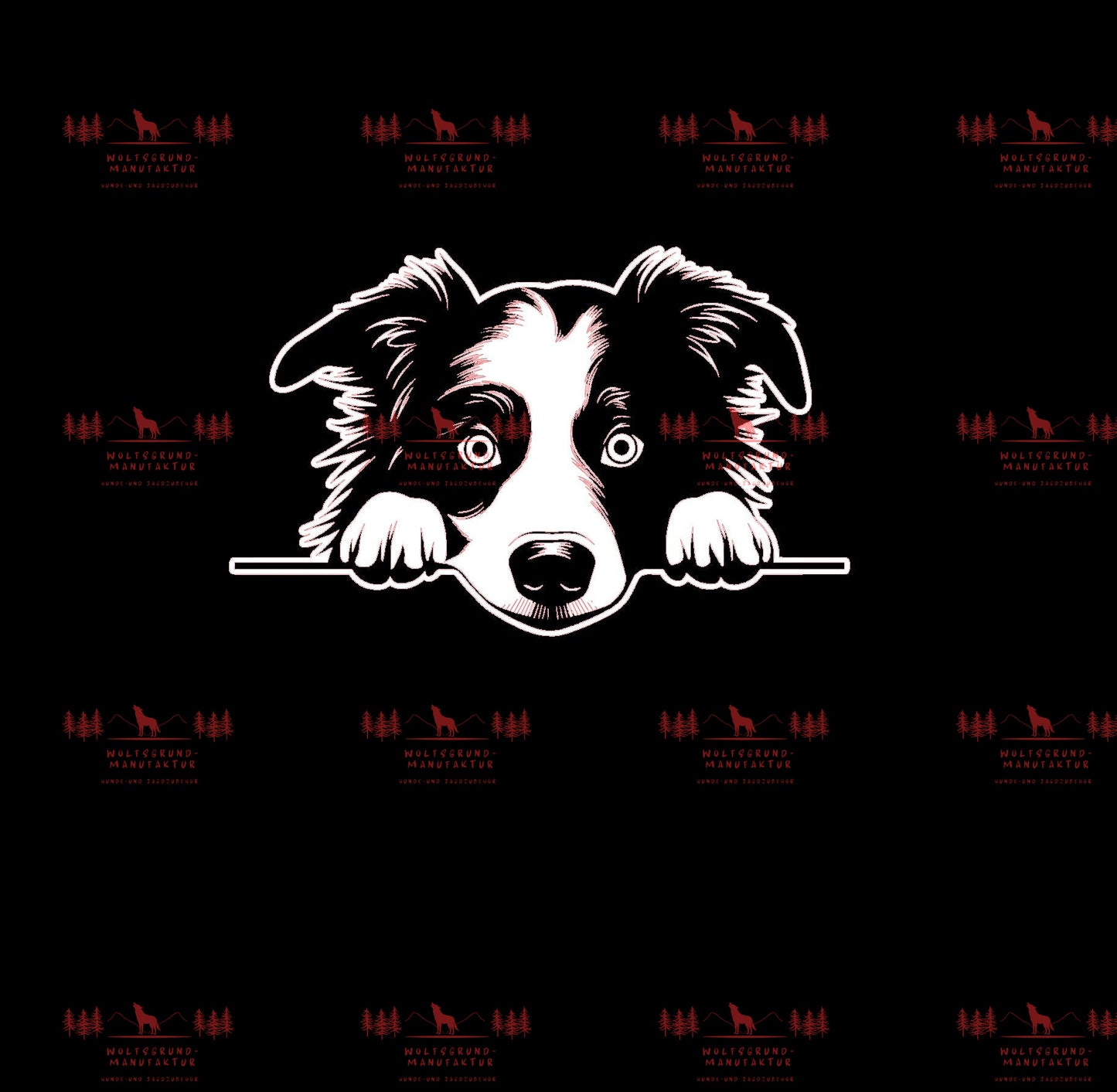 Border Collie 1