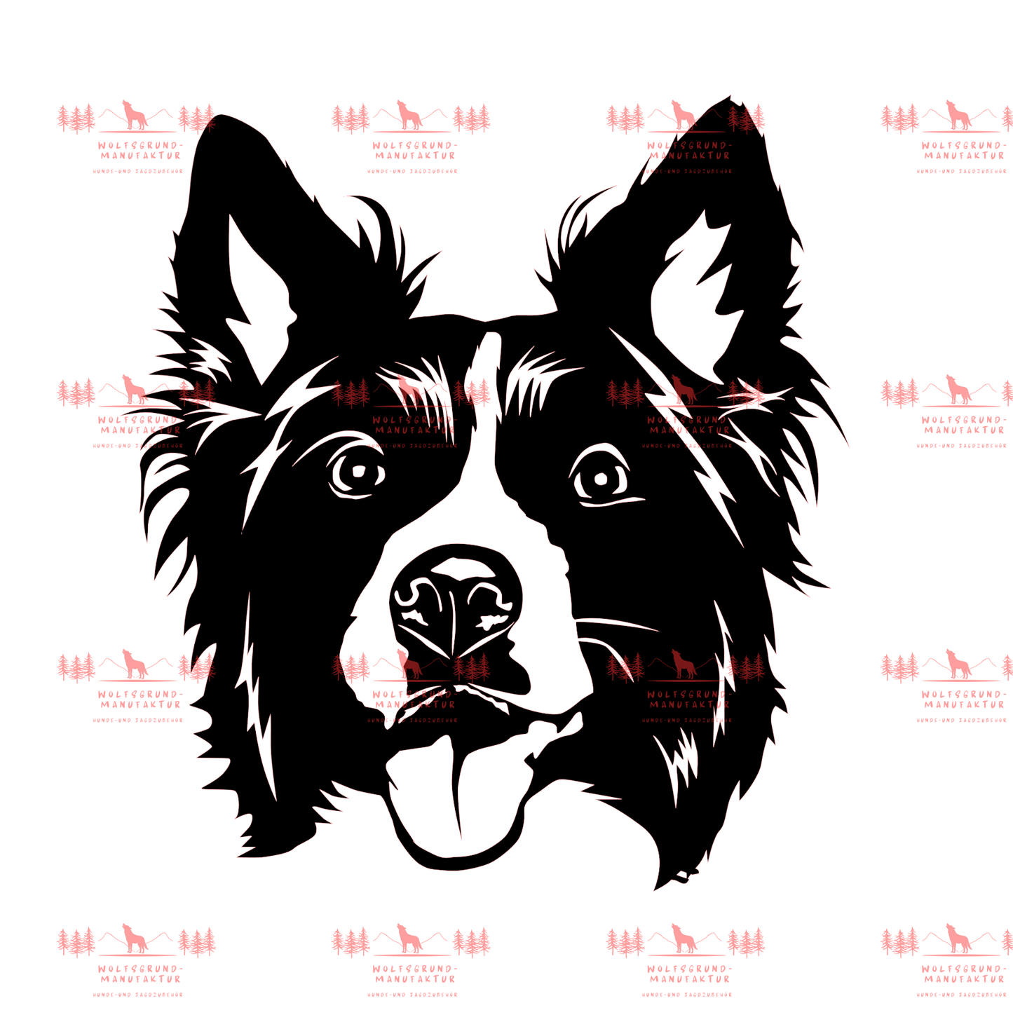 Border Collie 2