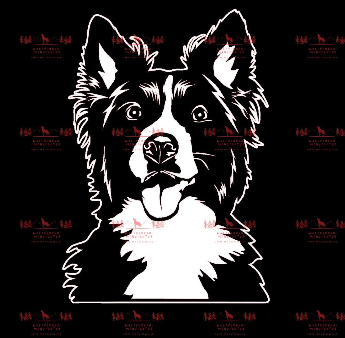 Border Collie 3