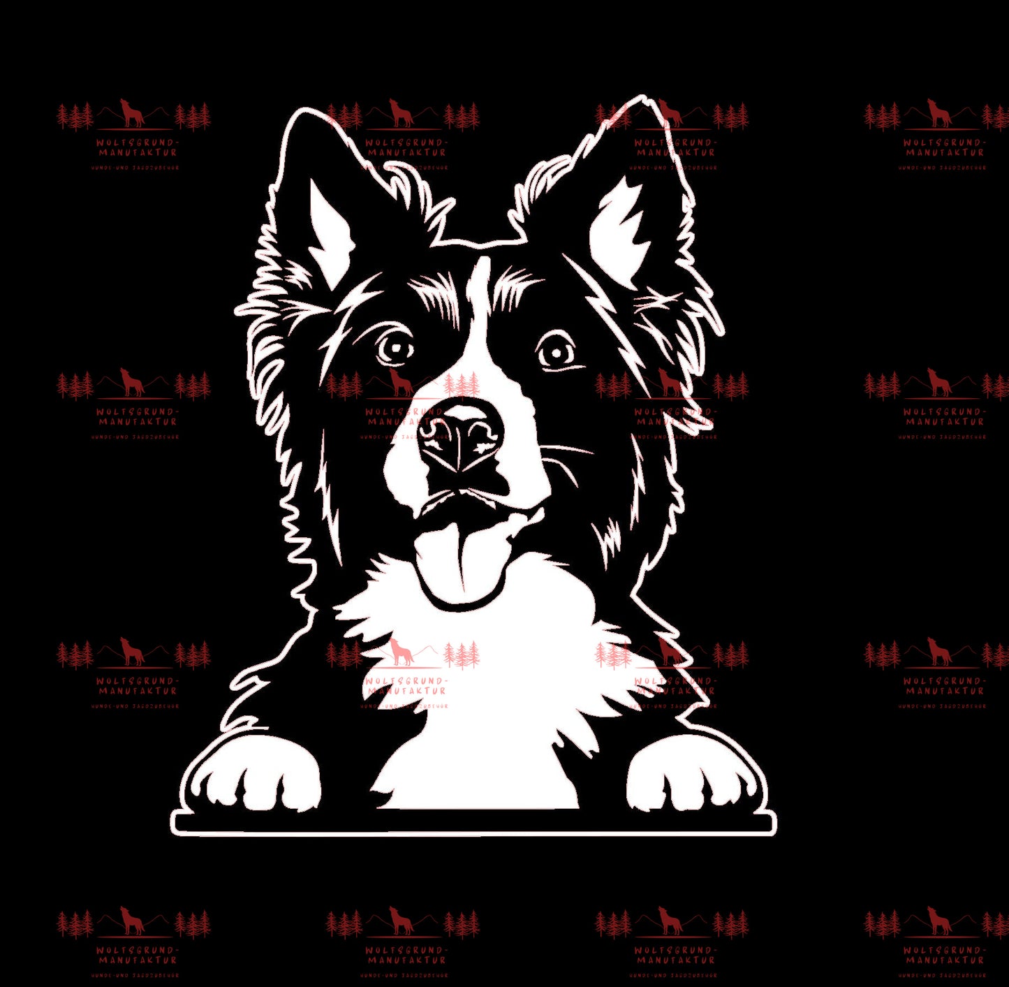 Border Collie 4