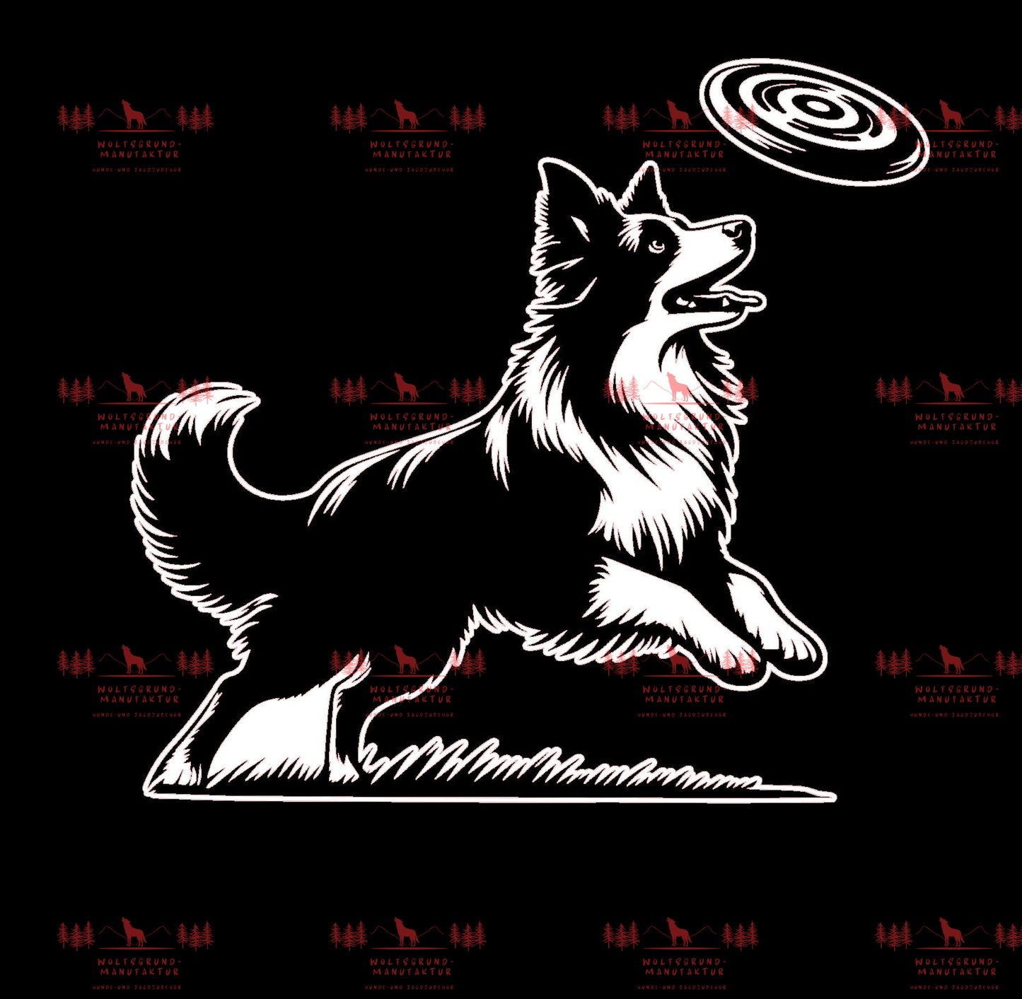 Border Collie Frisbee