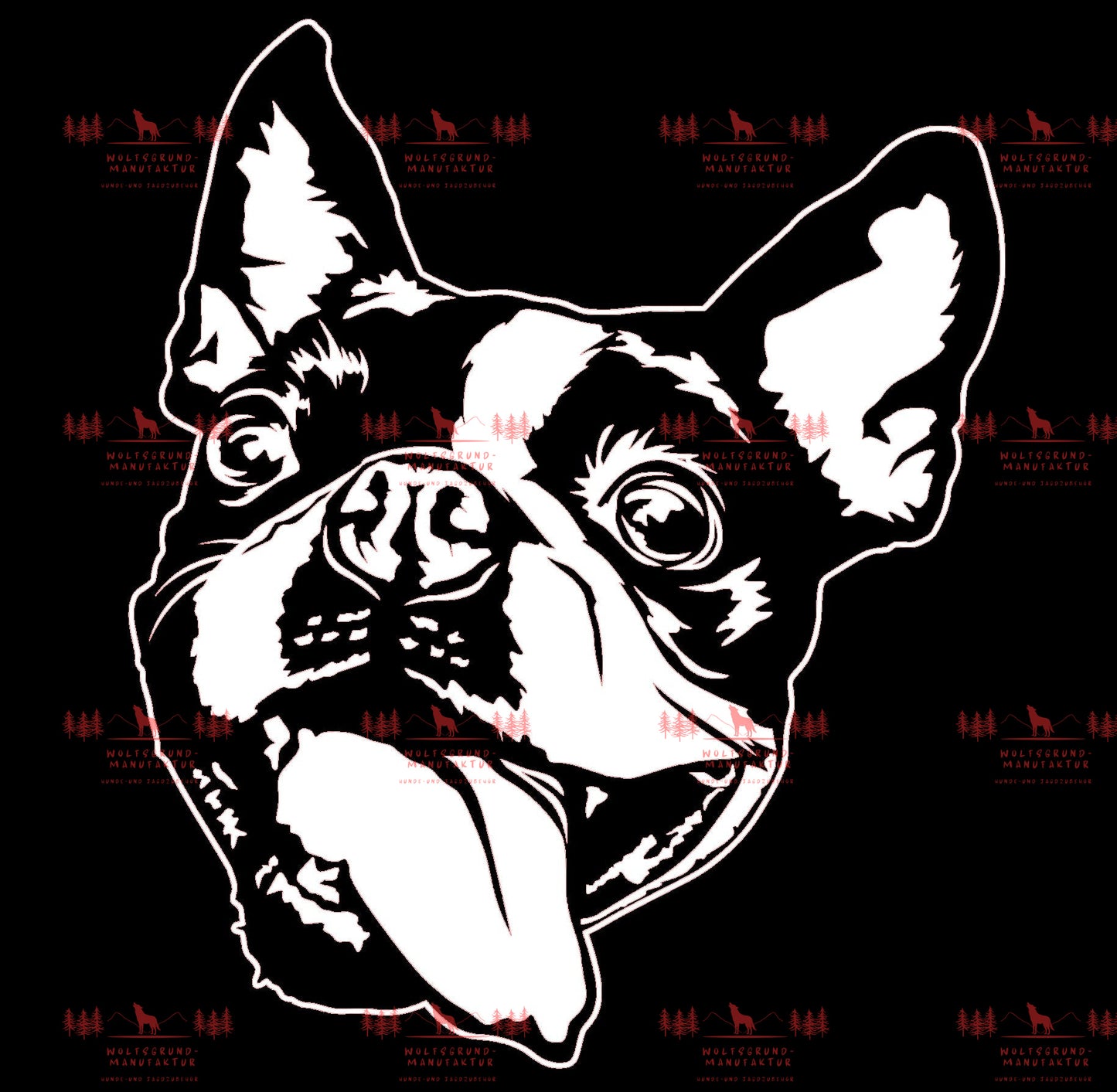 Boston Terrier 2