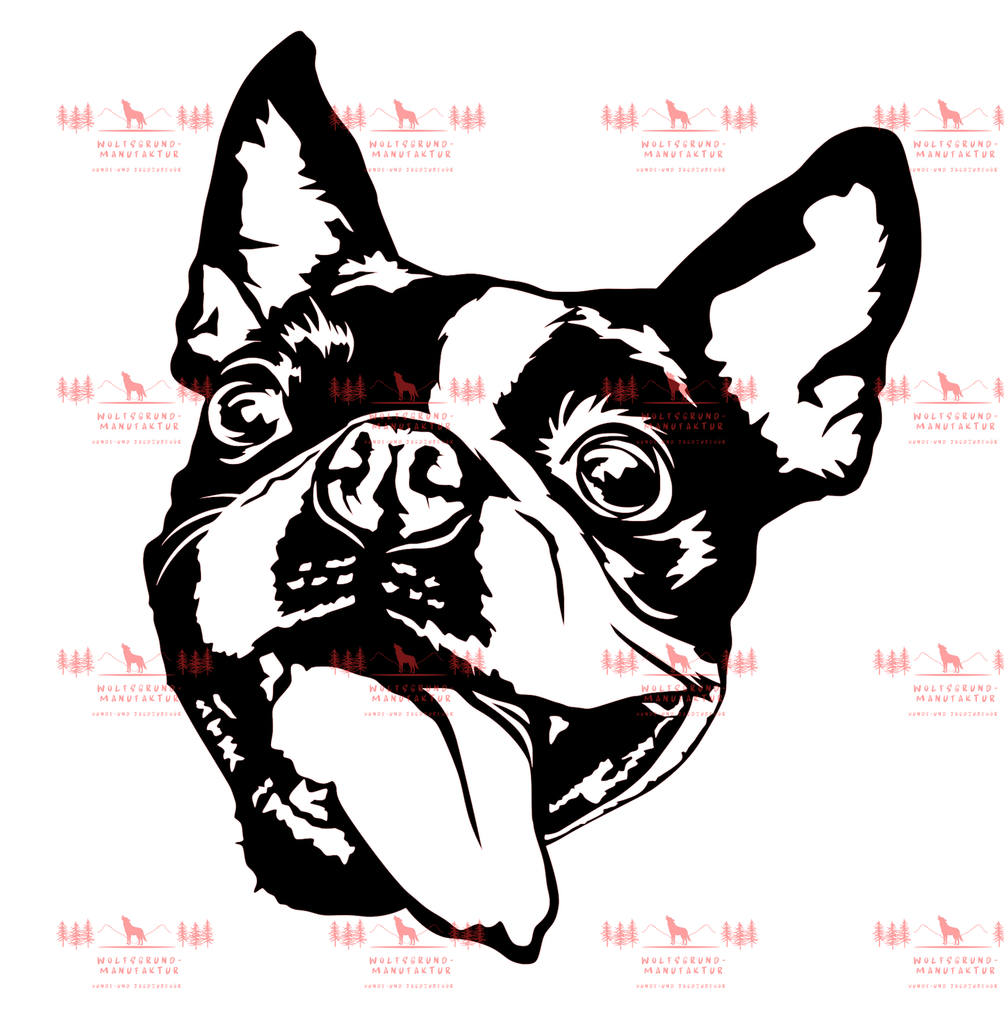 Boston Terrier 2