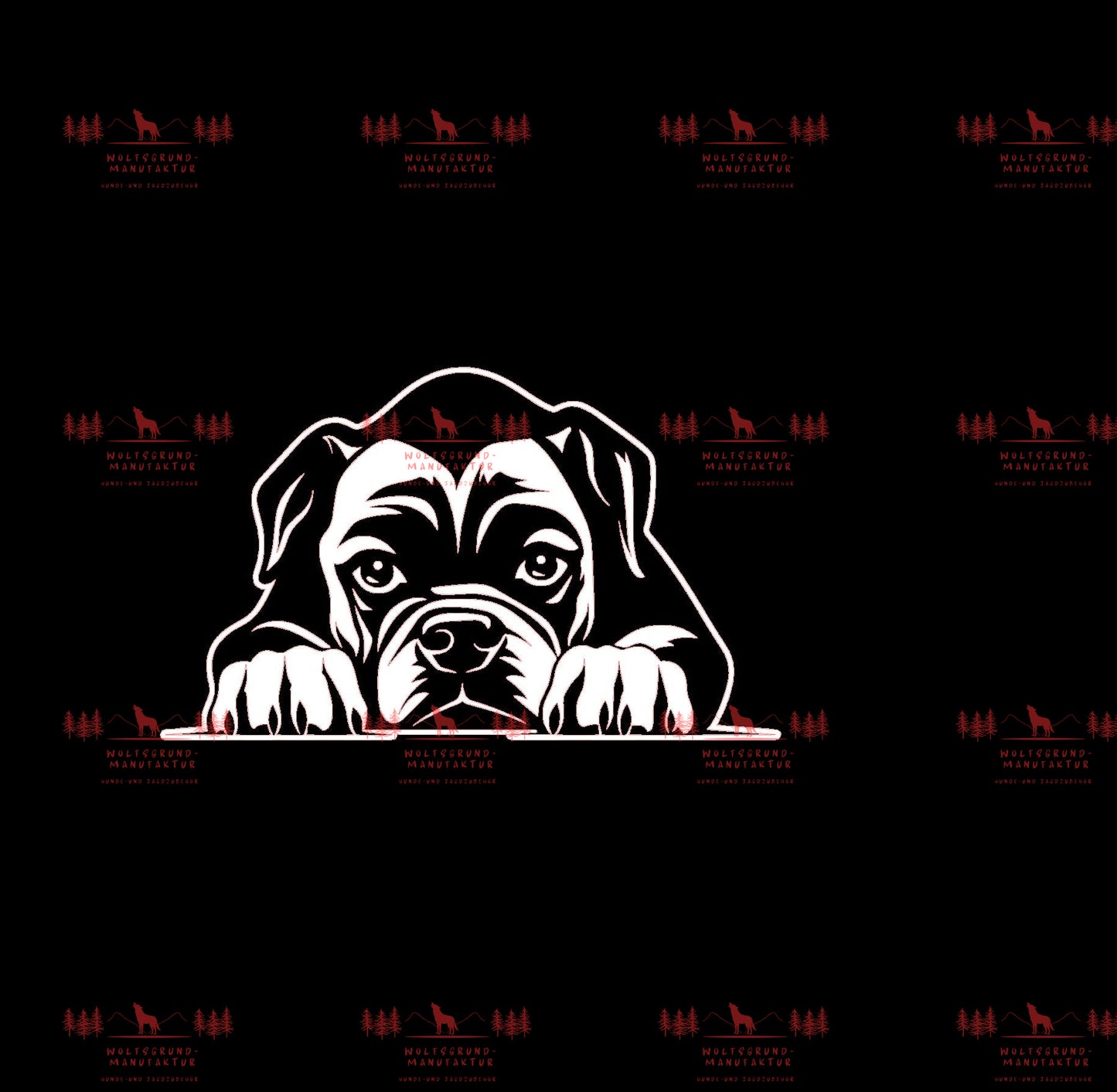 Boxer 1