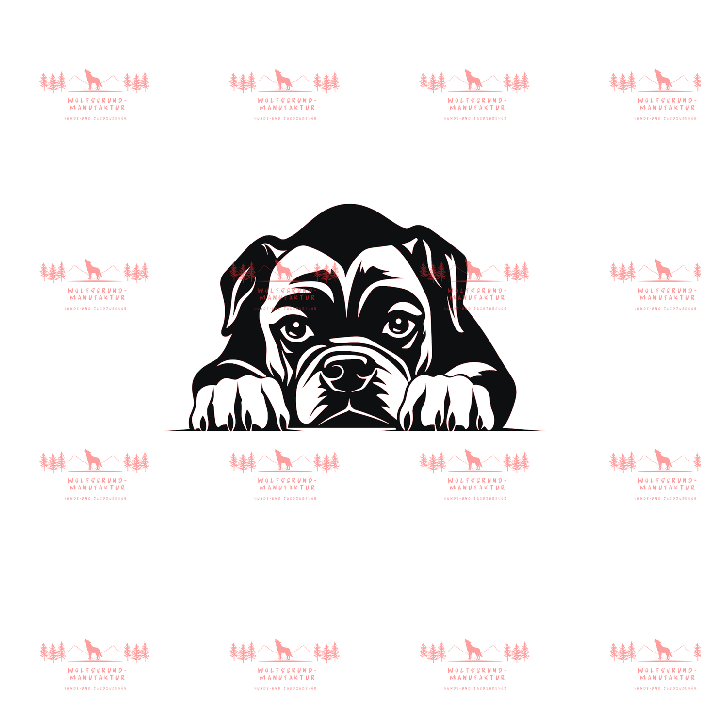 Boxer 1