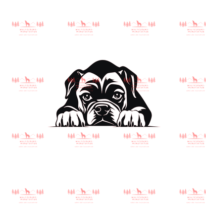 Boxer 1