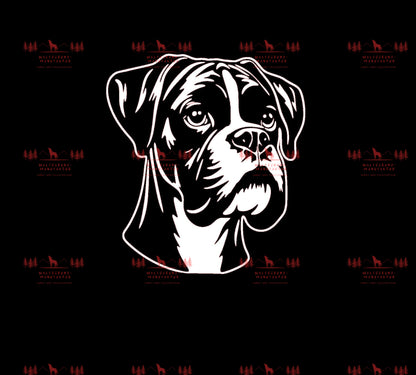 Boxer 2