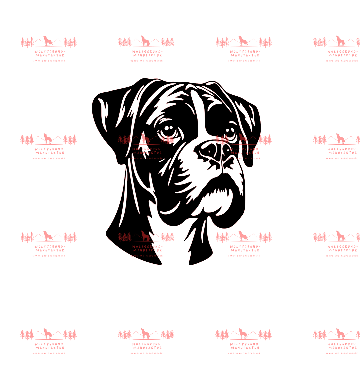 Boxer 2